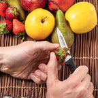 Arcos Niza Peeling Knife - 19.8cm