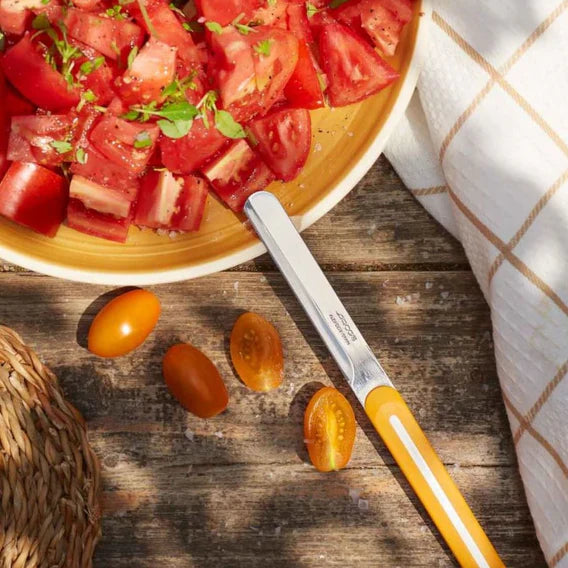 Arcos Linea Serrated Table Knife - Orange, 21.5cm