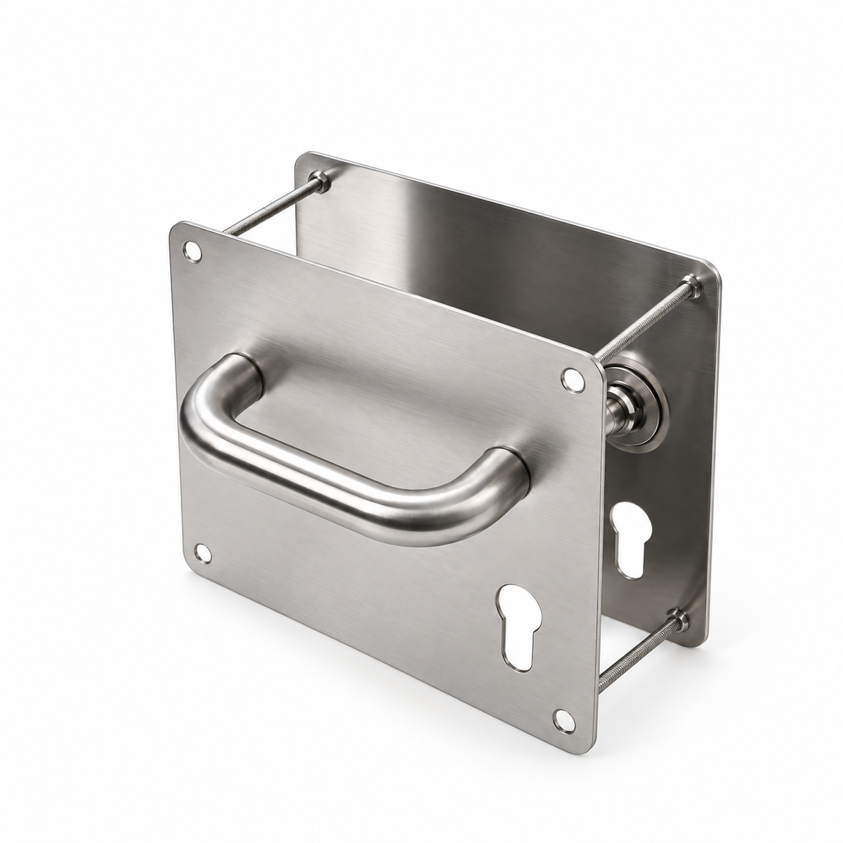 Door handle with plate