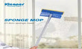 Glass Squeegee