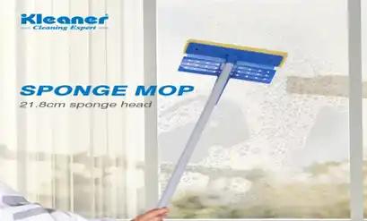 Glass Squeegee