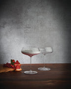 Nude Round Up Champagne Coupe Glass - 400ml