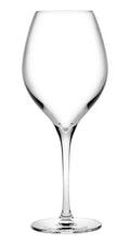 Nude Vinifera White Wine Glass - 365ml