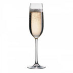 Nude Bar & Table Champagne Glass - 200ml