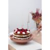 Coliseum cake keeper with knife