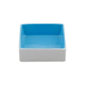 Porland Rainbow Nut Plate - Blue, 8x8cm