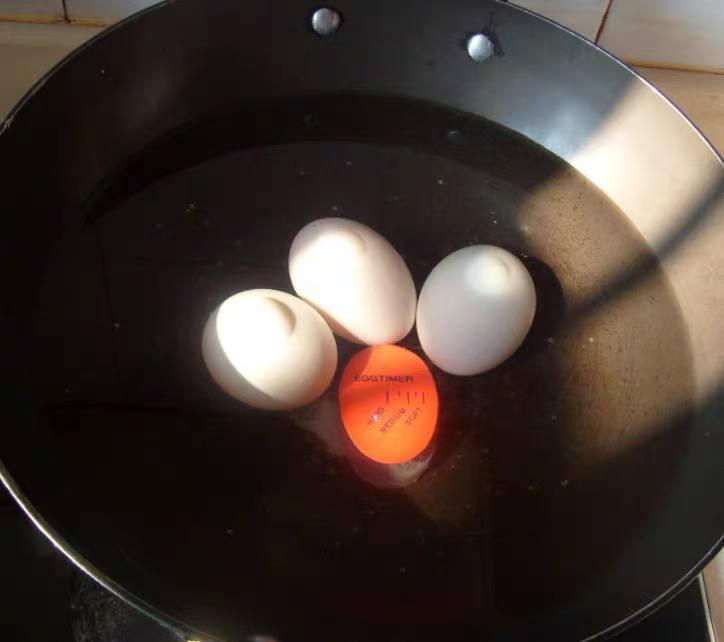 Egg Timer
