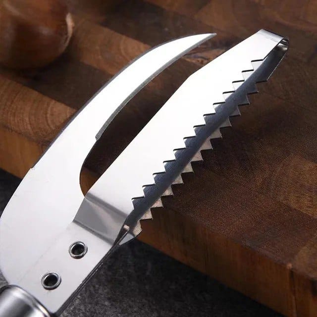 Fish Scaler