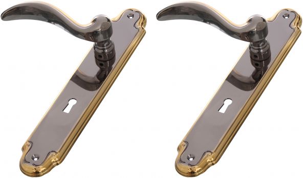 Dual Door Handle