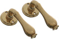 Dual Door Handle